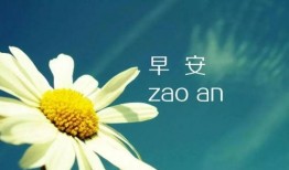 早安最新爆料图片,揭秘最新爆料图片背后的惊人真相