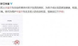 娱乐圈吃瓜专业词,娱乐圈“瓜田”风云录