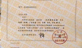 录取通知电影在线观看,揭秘高校录取背后的故事