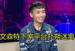 文森特最新爆料,揭秘娱乐圈不为人知的秘密