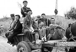 知青电视剧在线观看,知青岁月电视剧在线观看之旅