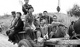知青电视剧在线观看,知青岁月电视剧在线观看之旅