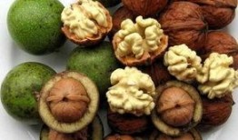 核桃印象爆料视频大全,揭秘幕后故事与精彩瞬间