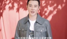 娱乐圈圈爆料宋威龙,娱乐圈再掀波澜