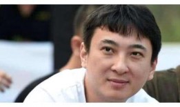 王思聪爆料天王嫂视频,娱乐圈再掀波澜