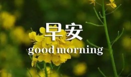 早安最新爆料图片,揭秘最新爆料图片背后的惊人真相