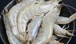 厄瓜多尔虾爆料视频播放,揭秘养殖场真实情况