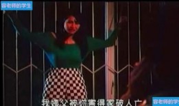 引郎入室国语在线观看,沉浸式体验经典国剧魅力之旅