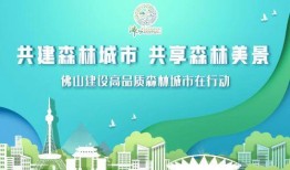 今日佛山爆料消息新闻,聚焦城市动态与民生焦点