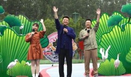 青枫骇客最新爆料视频,揭秘神秘事件内幕