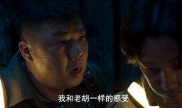 老董爆料王胖子视频在线观看,老董爆料王胖子视频，精彩瞬间在线观看