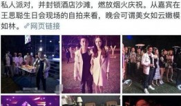 王思聪爆料天王嫂视频,娱乐圈再掀波澜