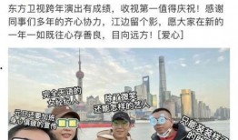 日本拾垃圾被爆料视频,城市清洁背后的辛酸与反思