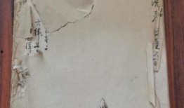 临沂探店爆料视频大全最新,盘点热门美食与隐藏宝藏