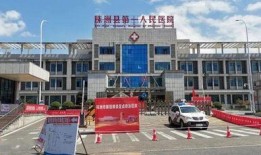 株洲今天爆料消息最新,揭秘城市热点事件背后的真相