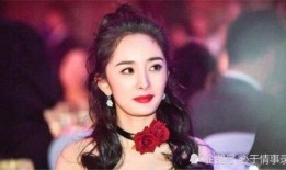 采访爆料杨幂视频,揭秘娱乐圈背后的故事