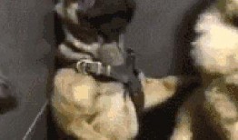 巴哥爆料新世界女帝视频,新世界女帝神秘视频首度曝光