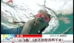 飞鱼在线观看,畅游虚拟世界，体验无限可能