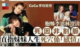 李玟前夫员工爆料视频在线观看,揭秘婚姻内幕与情感纠葛