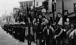 日本拾垃圾被爆料视频,城市清洁背后的辛酸与反思