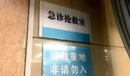 石家庄市小区爆料案件最新,真相即将揭晓！