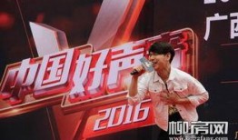 好声音小故事爆料视频,揭秘选手们的成长与蜕变