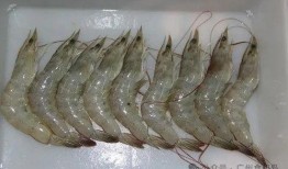 南美大白虾爆料视频,养殖、加工全流程大曝光