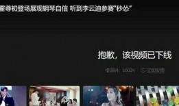 兄弟爆料金店后续视频在线观看,视频内容在线观看全解析