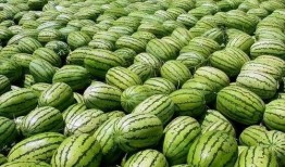 51爆料吃瓜今日吃瓜热门大瓜,今日热门大瓜，揭秘娱乐圈惊人内幕！