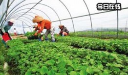 湖北爆料台最新,聚焦民生热点，揭示社会真相