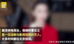 上海保姆案爆料视频全集,揭秘惊人真相与人性较量