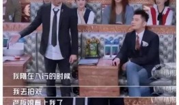 娱乐圈内的爆料,揭秘明星背后的惊人真相