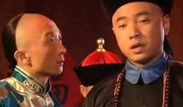 李卫当官在线观看,笑谈官场风云，揭秘古代智勇传奇