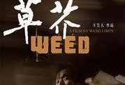 草芥在线观看,在线观看，探寻平凡人生的不凡力量