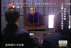 潜伏者在线观看,揭秘暗影中的秘密行动