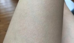 吃鸡皮肤爆料最新实测版,全新视觉盛宴，带你领略极致游戏体验