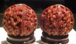 核桃印象爆料视频大全,揭秘幕后故事与精彩瞬间