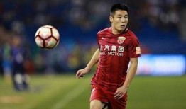 武磊球场爆料视频最新在线观看,独家视角直击精彩瞬间