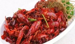 娃娃爆料小龙虾视频播放,小龙虾视频播放背后的惊人真相