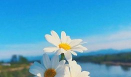 早安最新爆料图片,揭秘最新爆料图片背后的惊人真相