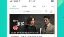 文安网友爆料事件视频下载,揭秘事件真相