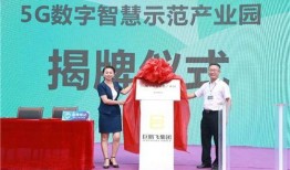 鹏飞集团最新爆料新闻,揭秘企业转型背后的故事