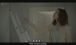 黑镜第2季在线观看,未来世界的镜鉴与反思