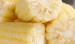 速食玉米爆料视频,揭秘视频曝光惊人真相