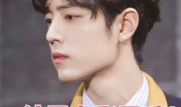 圈内爆料王力威肖战,揭秘两人背后的故事与情感纠葛