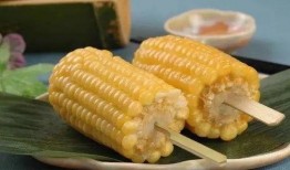 速食玉米爆料视频,揭秘视频曝光惊人真相