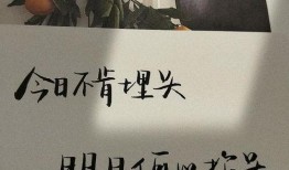 吃瓜娱乐文案句子大全,吃瓜娱乐文案句子大盘点