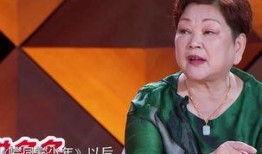 汪涵爆料钱枫视频大全集,钱枫视频大全集背后的故事与真相