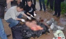 南大碎尸案最新爆料,最新爆料揭露惊人内幕