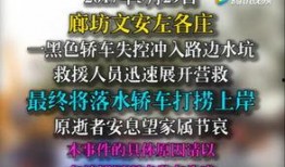 文安网友爆料事件视频下载,揭秘事件真相